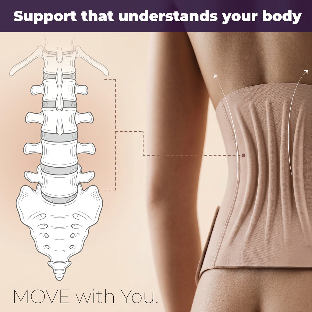 Diagram showing how the belly band's rear panel aligns with the lumbar spine